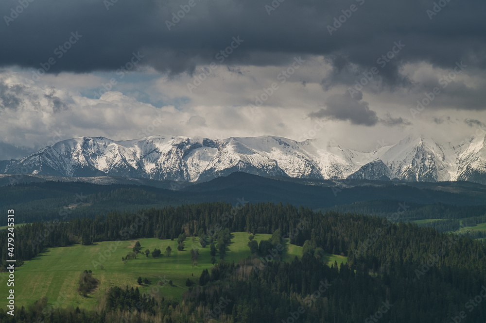 Fototapeta premium Widok na góry Tatry na tle zielonych pastwisk.