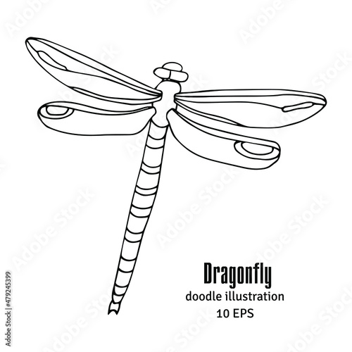 Hand drawn dragonflies on white background. Black line art vector illustration.