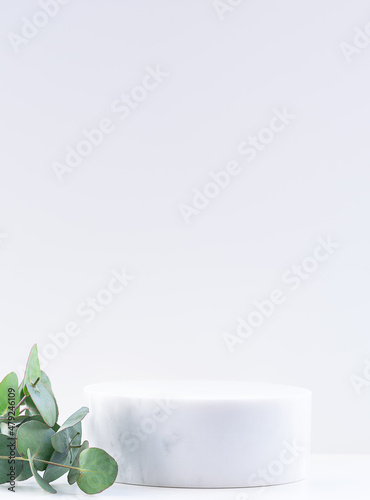 White marble podium with fresh eucaliptus branches on grey background with copy space for your design. Cosmetic branding banner mock up.