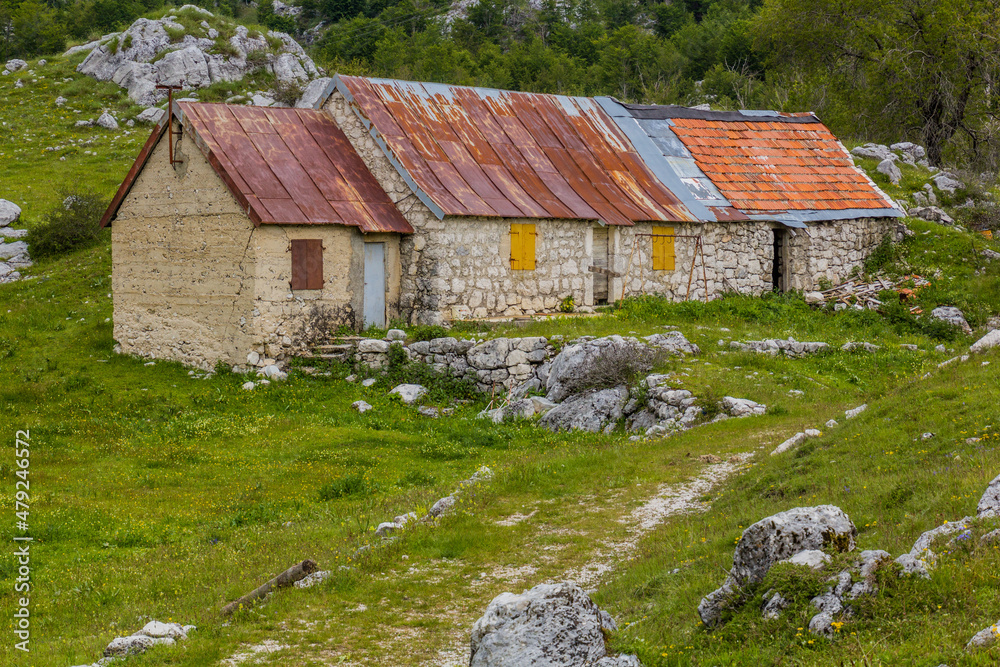 Rural house in Lovcen national park, Montenegro Rural house in Lovcen national park, Montenegro