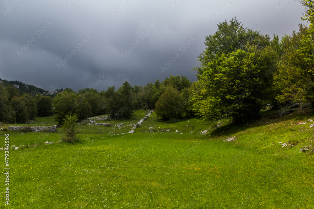 Landscape of Lovcen national park, Montenegro