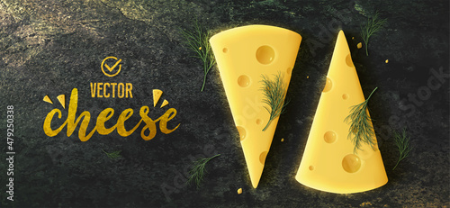 Piece of cheese on dark background