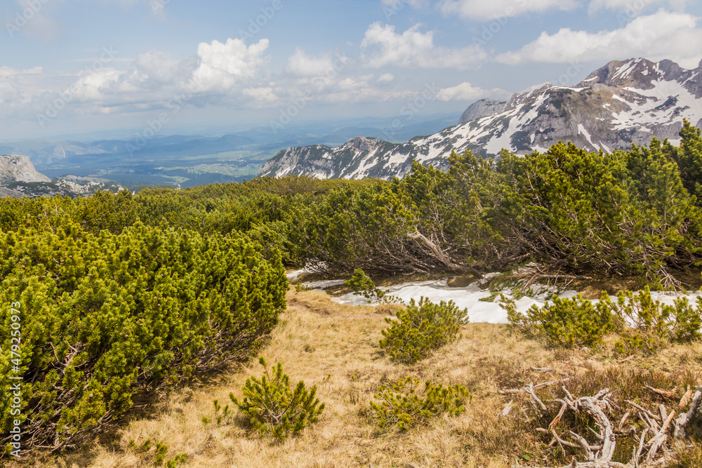 Landscape of Durmitor national park, Montenegro.