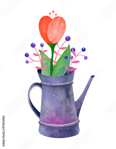 Watercolor vintage watering can with a beautiful bouquet of fresh flowers, Red tulip and berries