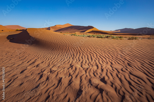 Sossusvlei sand dunes in Namibia  Africa