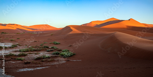 Fototapeta Naklejka Na Ścianę i Meble -  Sossusvlei sand dunes in Namibia