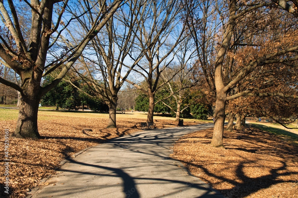 Walking trail in Piedmont Park
