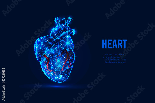 The concept of cardiology. Vector futuristic low-poly human heart, which consists of glowing lines, stars, triangles, lines isolated on a dark blue background. Modern frame design. Vector illustration photo