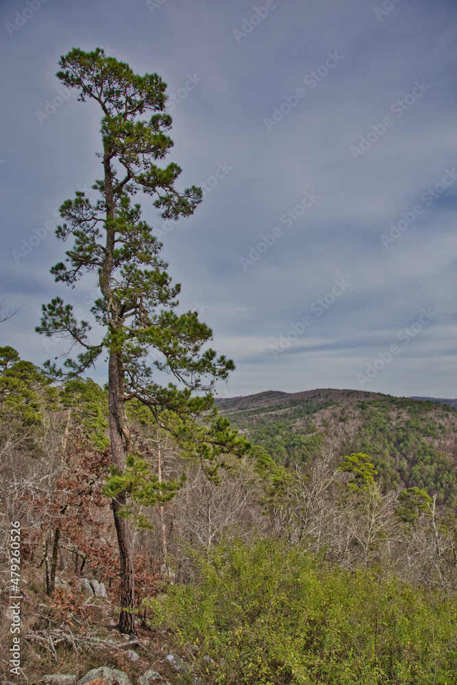 Fototapeta premium Hot Springs National Park, Arkansas.