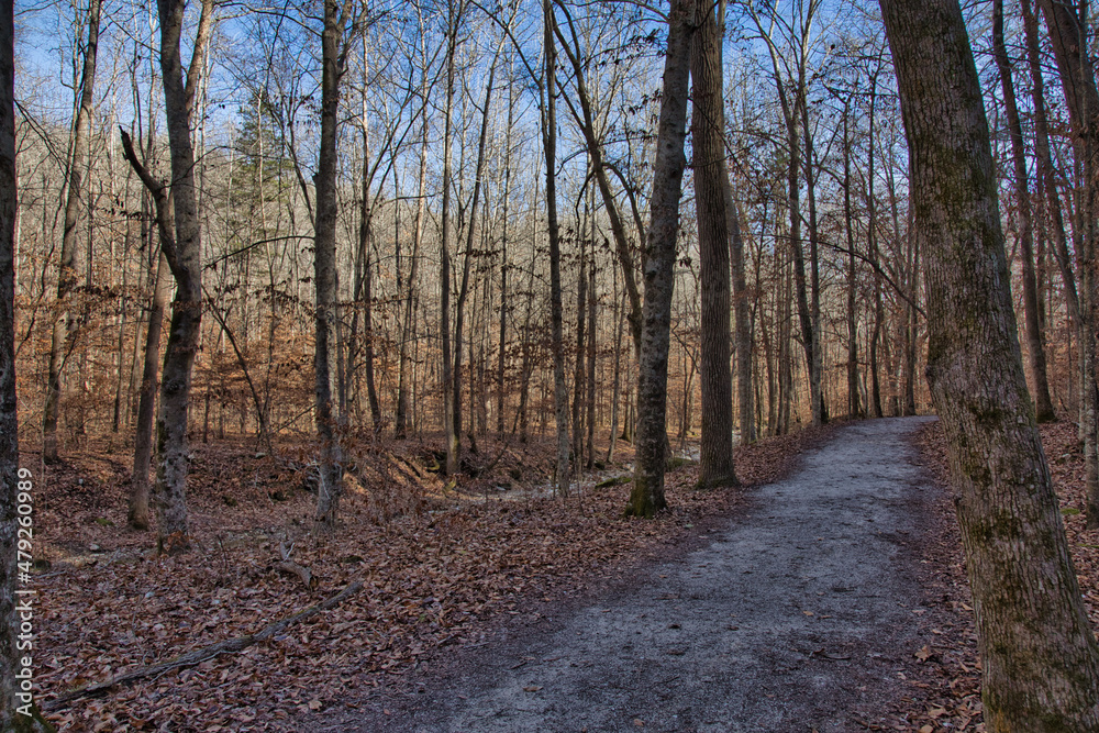 The lost valley trail. Buffalo National River, Arkansas.