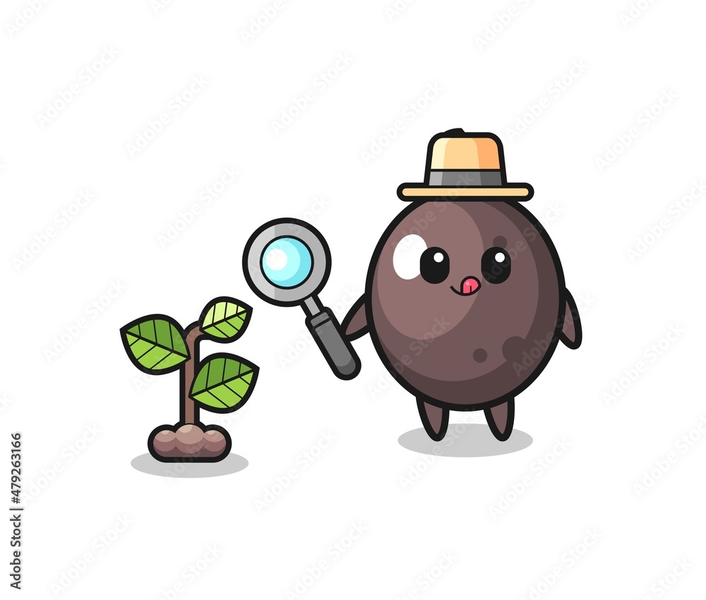 Fototapeta premium cute black olive herbalist researching a plants