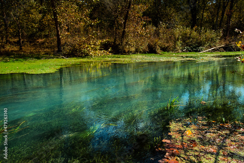 Two Different Ecosystems