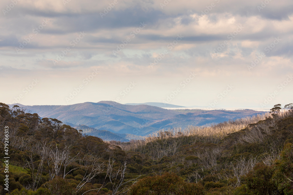 Photograph of Dead Horse Gap in the Snowy Mountains in Australia