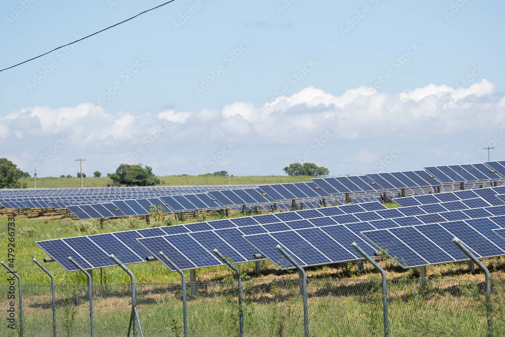 solar farm green energy from sun light show a lot of solar cell plate. Selective focus