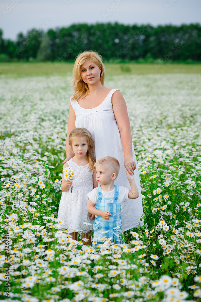 Mother, son and daughter in nature, a meadow with daisies. Children and mother in a blooming field of chamomiles. The family has fun in the summer or spring in nature.