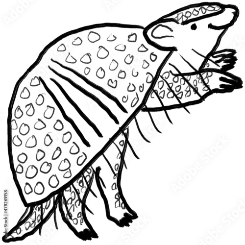 armadillo／アルマジロ