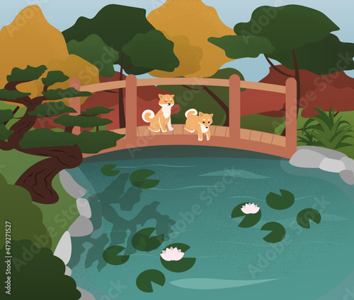 Vector japanese pond with bridge and shiba inu