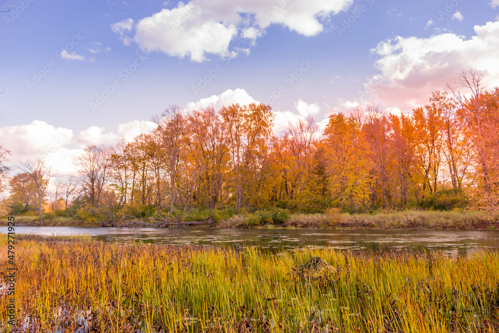 Colorful beautiful Autumn landscaping Scenery Colorful beautiful Autumn landscaping Scenery