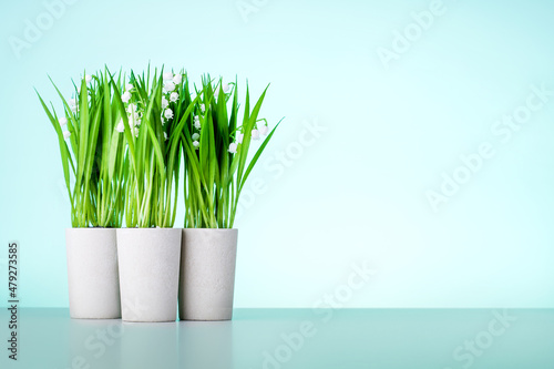 Spring flowers in pot on green background with copy space.