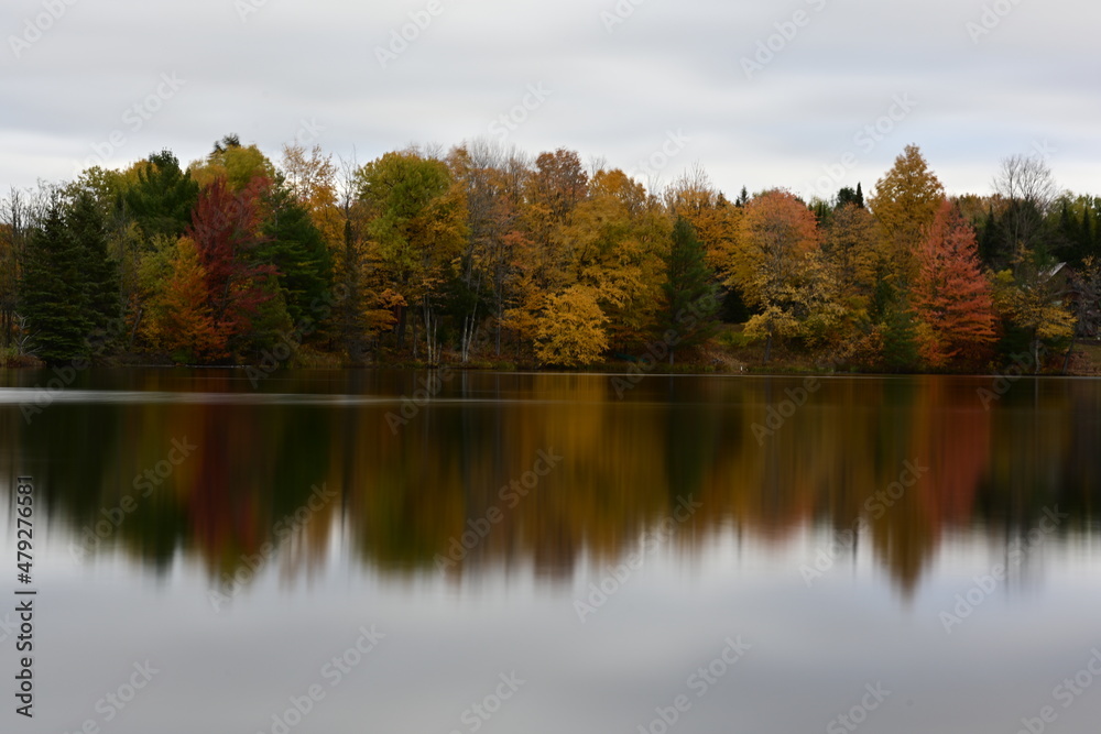 autumn trees reflected in water autumn trees reflected in water