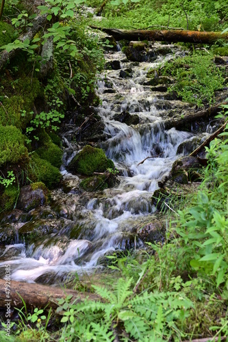 waterfall in the forest