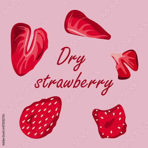 Vector set of dried strawberries isolated on pink background.
