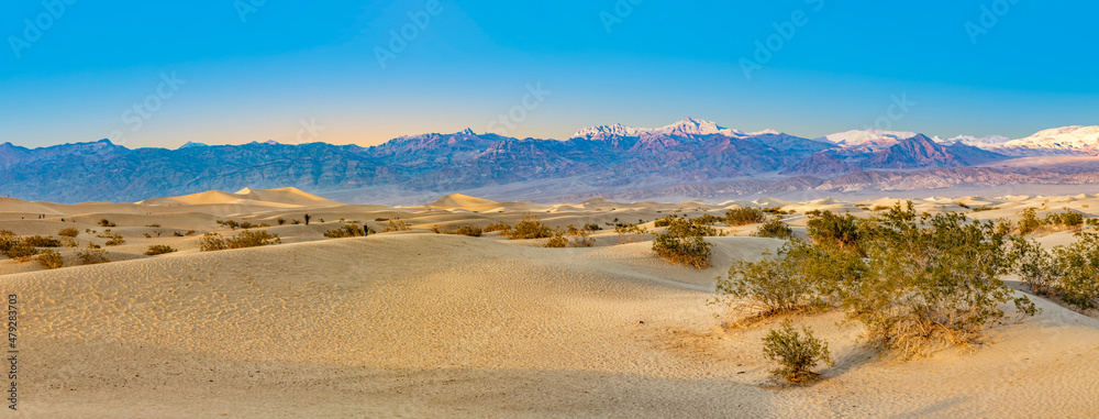 beautiful Mesquite flats in the death valley desert in sunset light