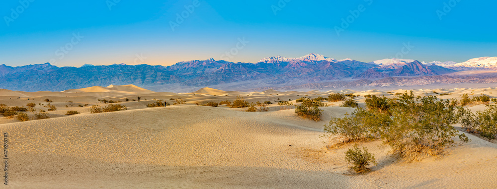 Fototapeta premium beautiful Mesquite flats in the death valley desert in sunset light