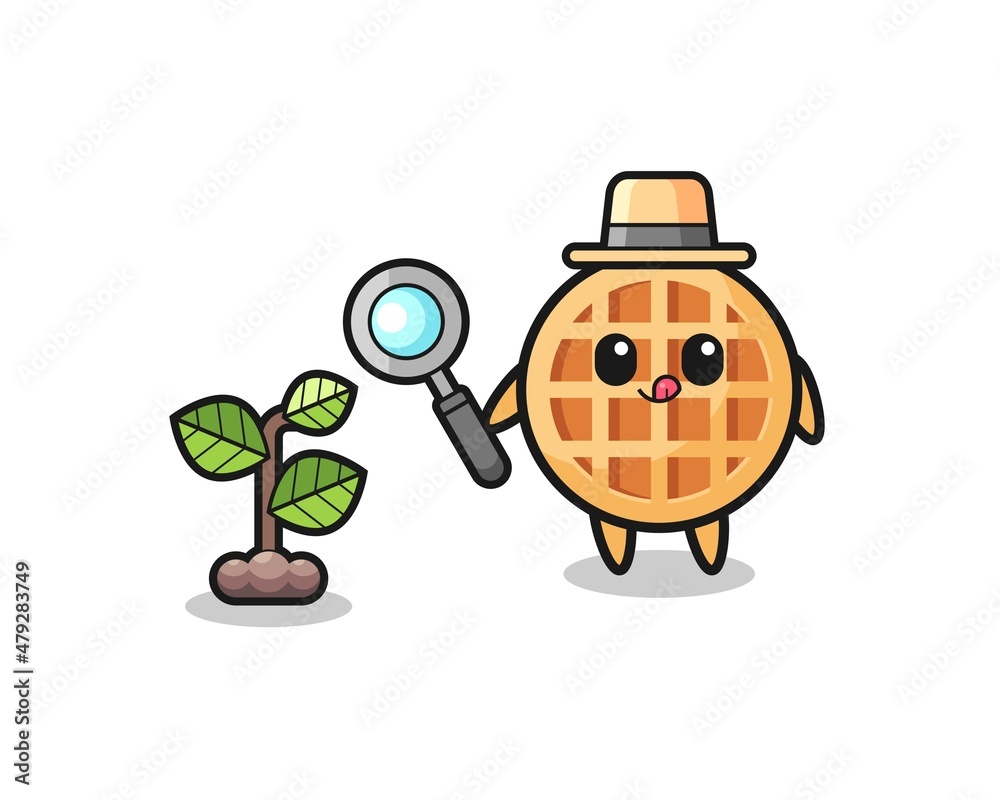 Fototapeta premium cute circle waffle herbalist researching a plants