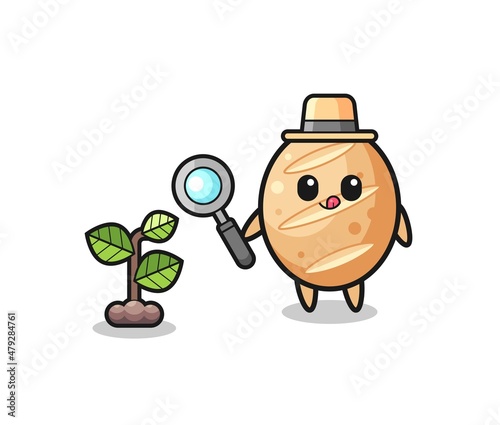 cute french bread herbalist researching a plants