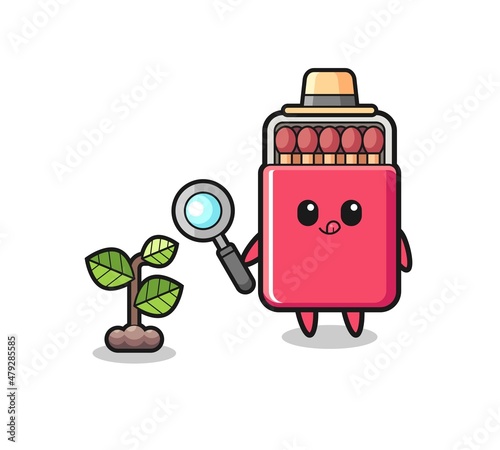 cute matches box herbalist researching a plants