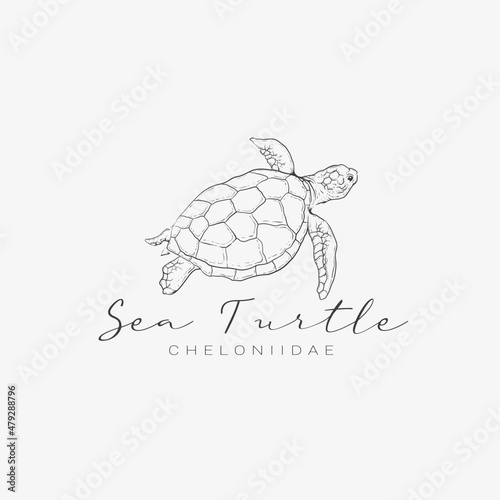 Sea turtle icon logo hand drawn vector illustration isolated on white background.