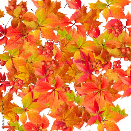 Abstract  autumn leaves background