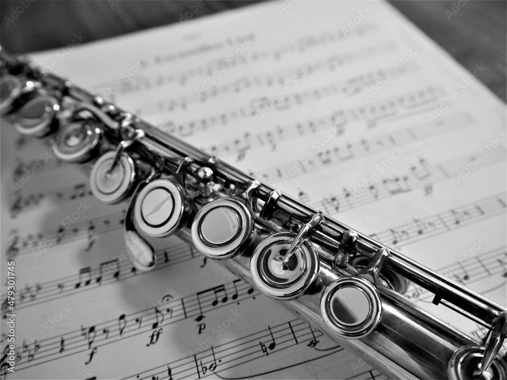 Obraz premium Flute and musical score 3
