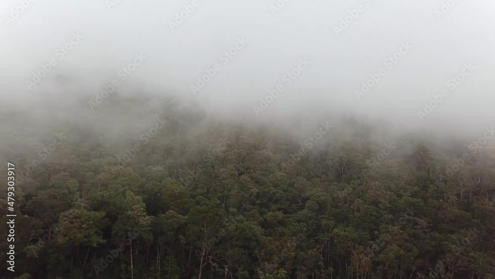 Misty fog blowing over tropical forest. Drone flying above forest on the mountain hills at misty day. Aerial footage of morning fog at tropical scenic nature. Misty fog blowing over tropical forest. Drone flying above forest on the mountain hills at misty day. Aerial footage of morning fog at tropical scenic nature.