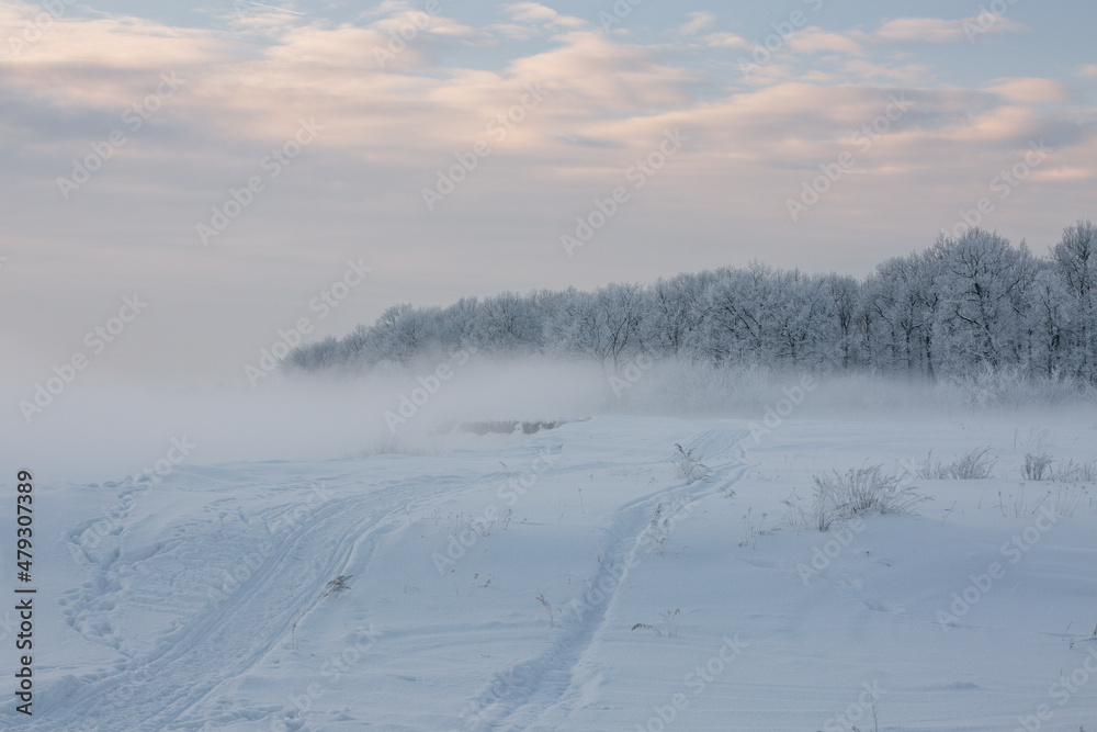 winter landscape, frozen trees, snowy view, beautiful winter winter landscape, frozen trees, snowy view, beautiful winter