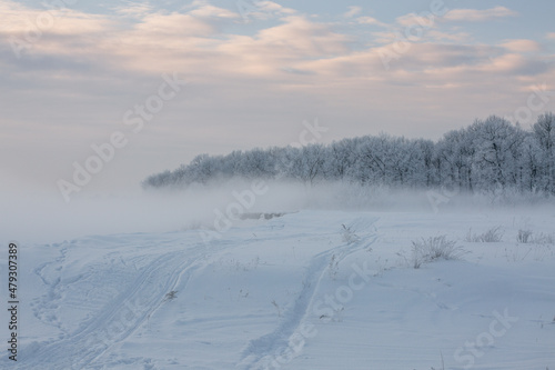 winter landscape, frozen trees, snowy view, beautiful winter