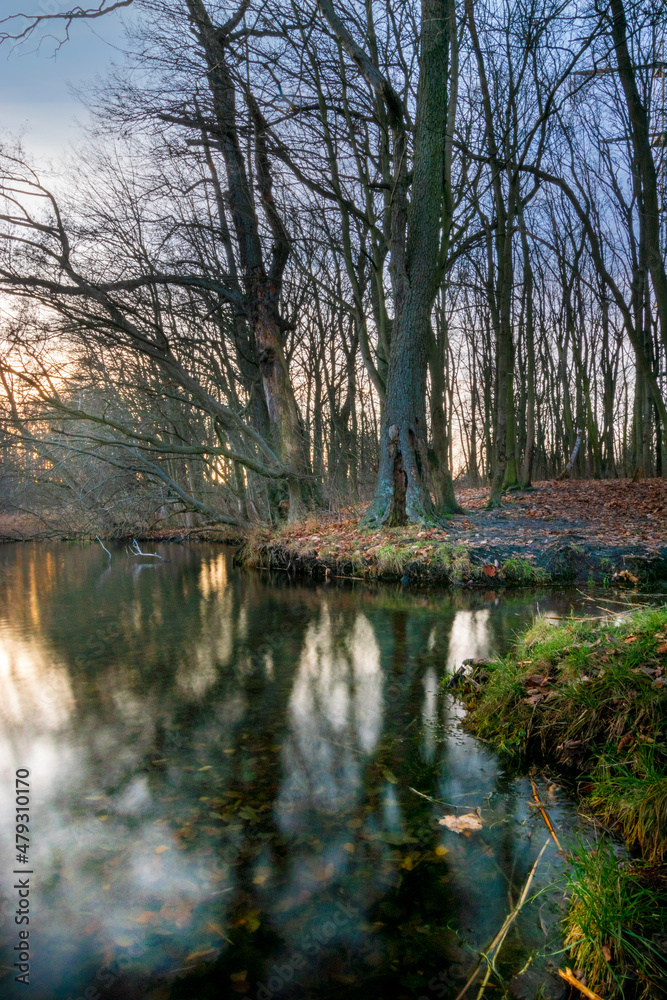 Reflections of the forest in the water during sunset (Brandenburg, Germany) Reflections of the forest in the water during sunset (Brandenburg, Germany)