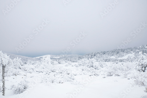 눈이 내린 겨울 풍경 © DaeHyck