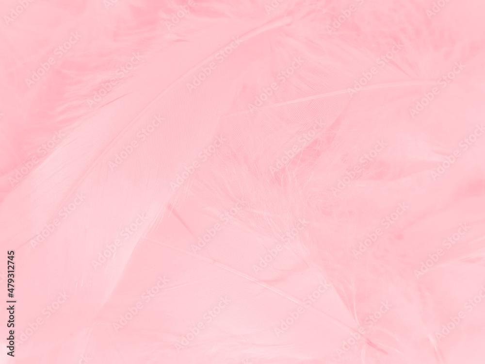 Naklejka premium Beautiful abstract light pink feathers on white background, white feather frame on pink texture pattern, pink background, love theme wallpaper and valentines day, white gradient