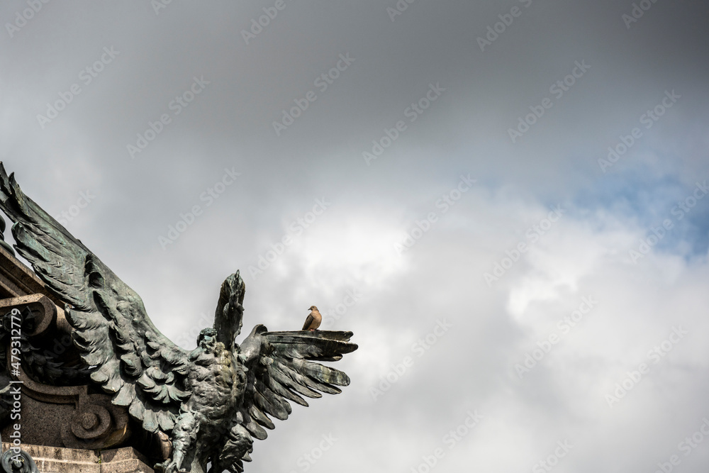 Fototapeta premium a live bird poses on a bronze bird of a monument in the center of Quito 