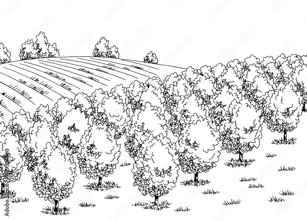 Fruit garden graphic black white landscape sketch illustration vector 