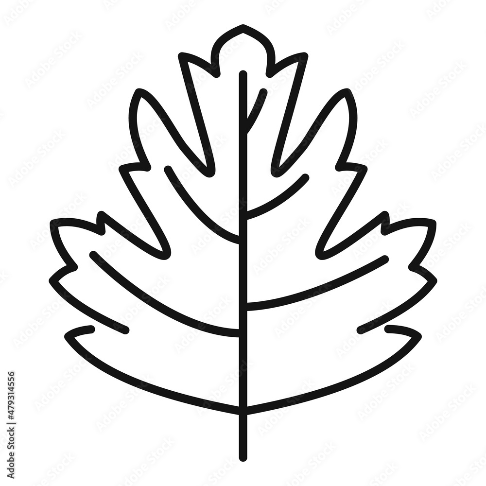 Parsley dill icon outline vector. Herb leaf