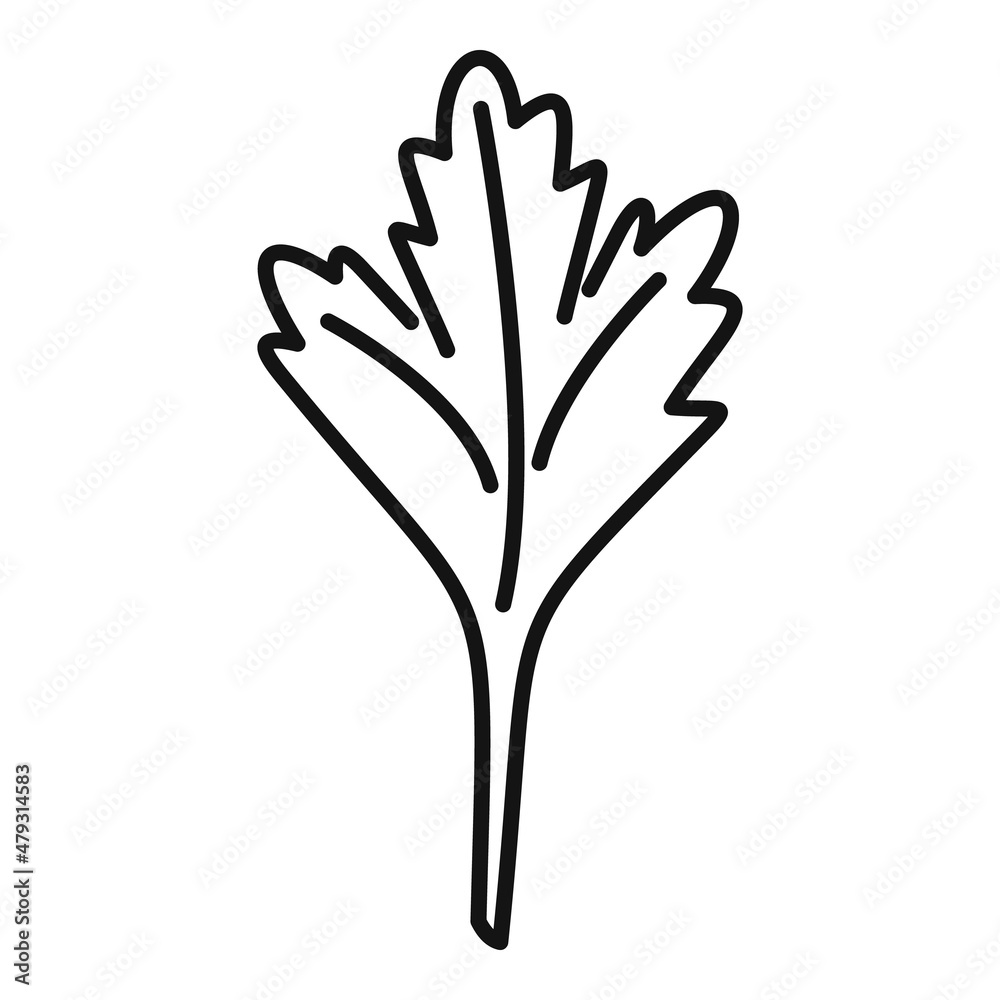 Obraz premium Parsley thyme icon outline vector. Leaf herb