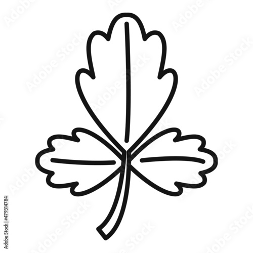 Fresh parsley icon outline vector. Garnish herb