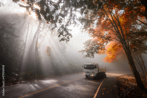 Truck driving with light through fog in autumn