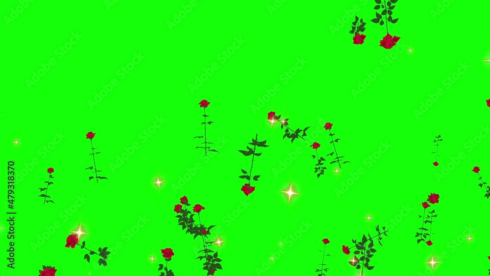 rose flower particle green screen animation rose flower particle green screen animation