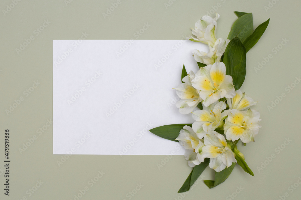 The layout of the postcard is a white sheet and flowers on a textured background. The layout of the postcard is a white sheet and flowers on a textured background.