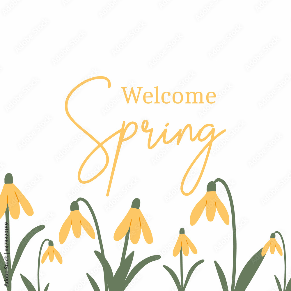 Vector illustration of snowdrops with spring lettering. Welcome spring. Pretty springy postcard. Vector illustration of snowdrops with spring lettering. Welcome spring. Pretty springy postcard.