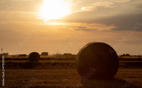 Hayballs at a field in the sunset. 